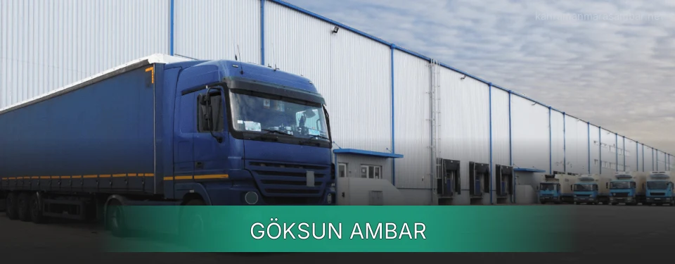 Göksun Ambar