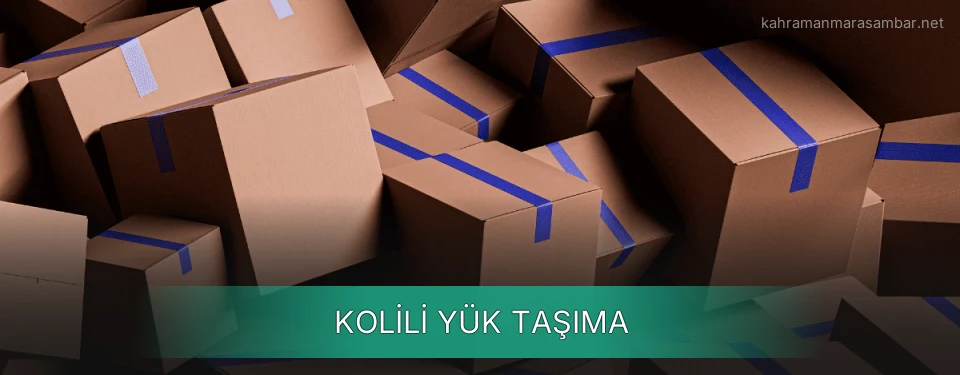 Kolili Yük Taşıma